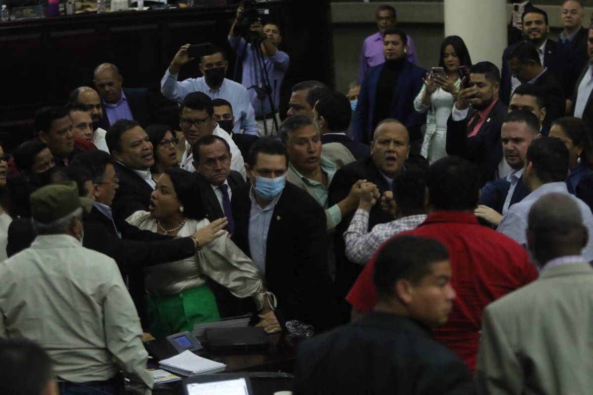 Diputados de Libre y el PN se van a golpes en sesión