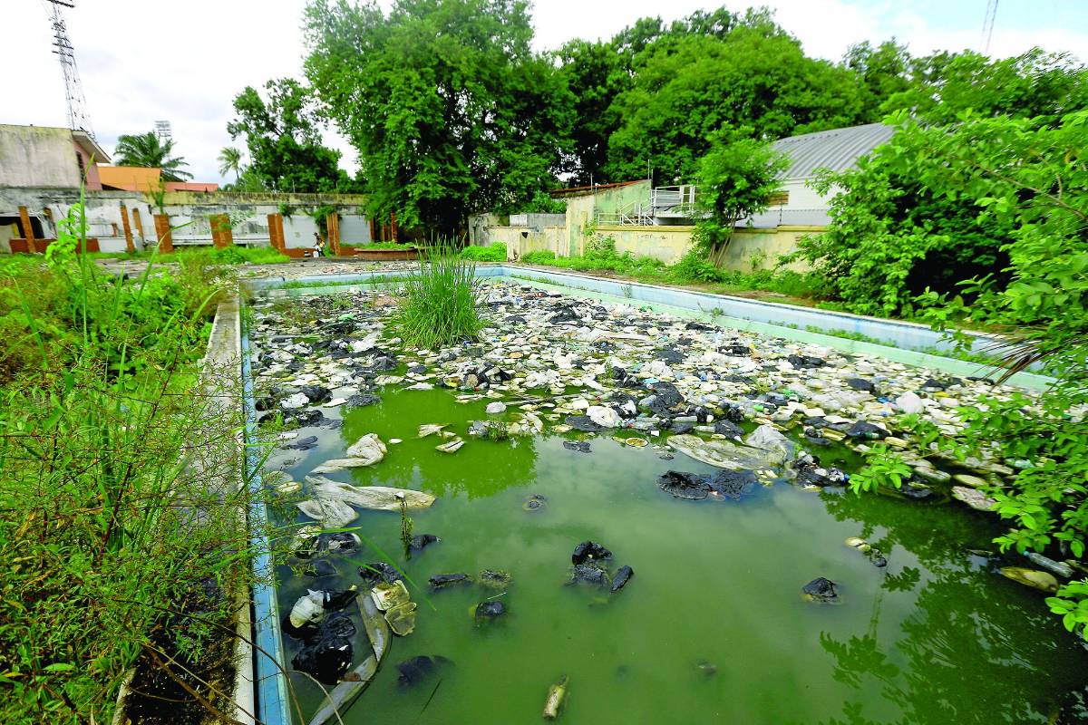 Indiferencia por limpiar predios baldíos pese a dengue