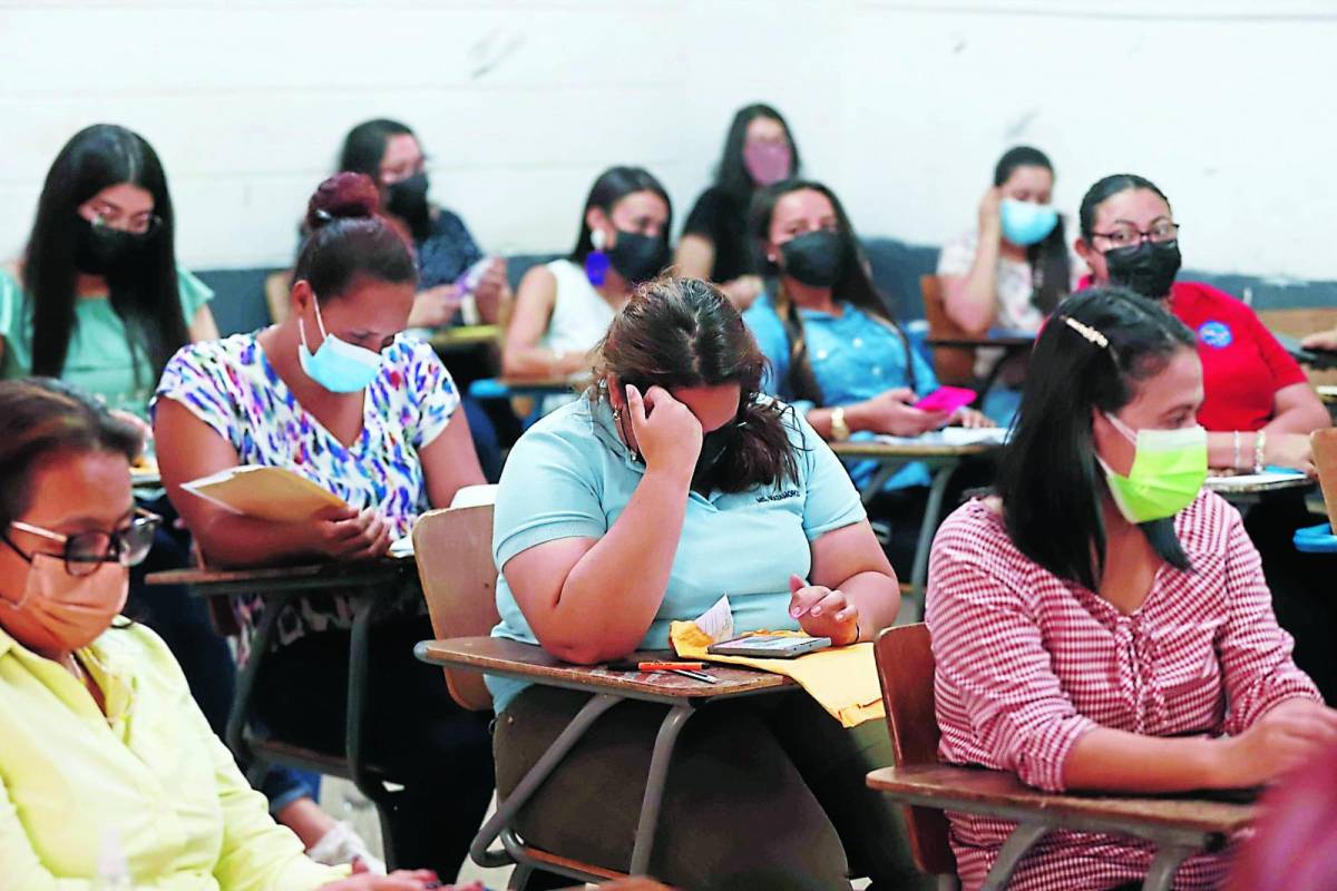 Revisión concurso: Promedio docente anda entre 70 y 90%