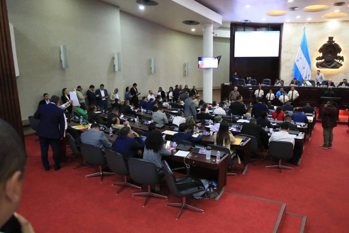 Accidentada sesión en el CN tras dos meses de inactividad; diputada reaccionó furiosa