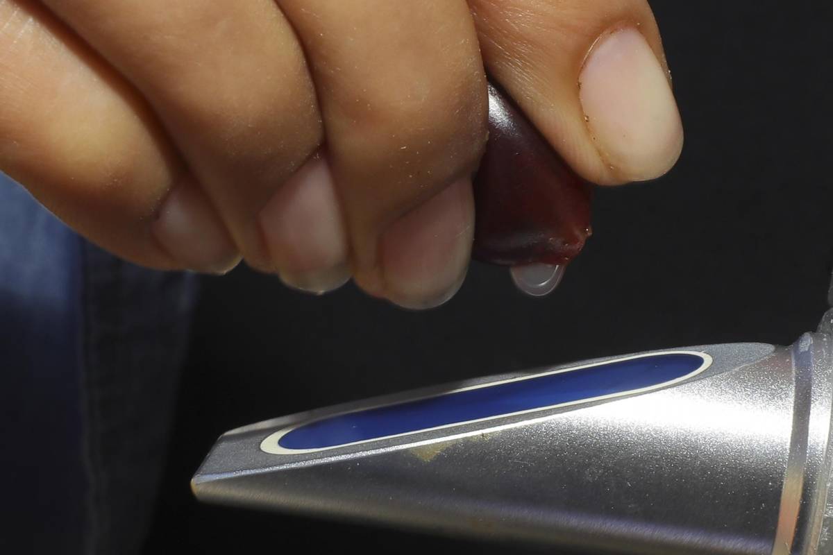 Una productora realiza una prueba de cantidad de azúcar a un grano de café, en su finca en el municipio de Márcala, en el departamento de La Paz (Honduras).