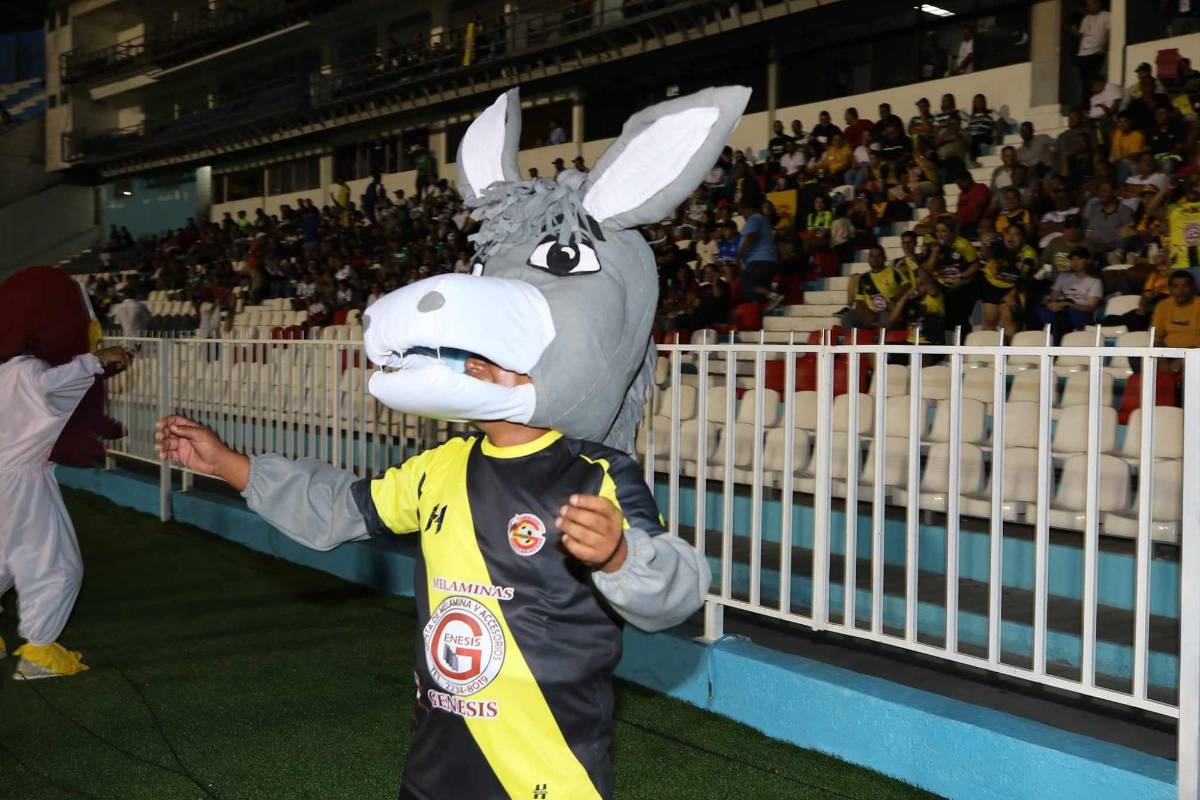 Los burros del Génesis de Comayagua confían en conseguir el ascenso.