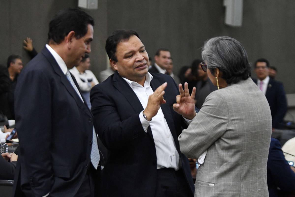 Jari Dixon confirma diálogos para elección de fiscal general