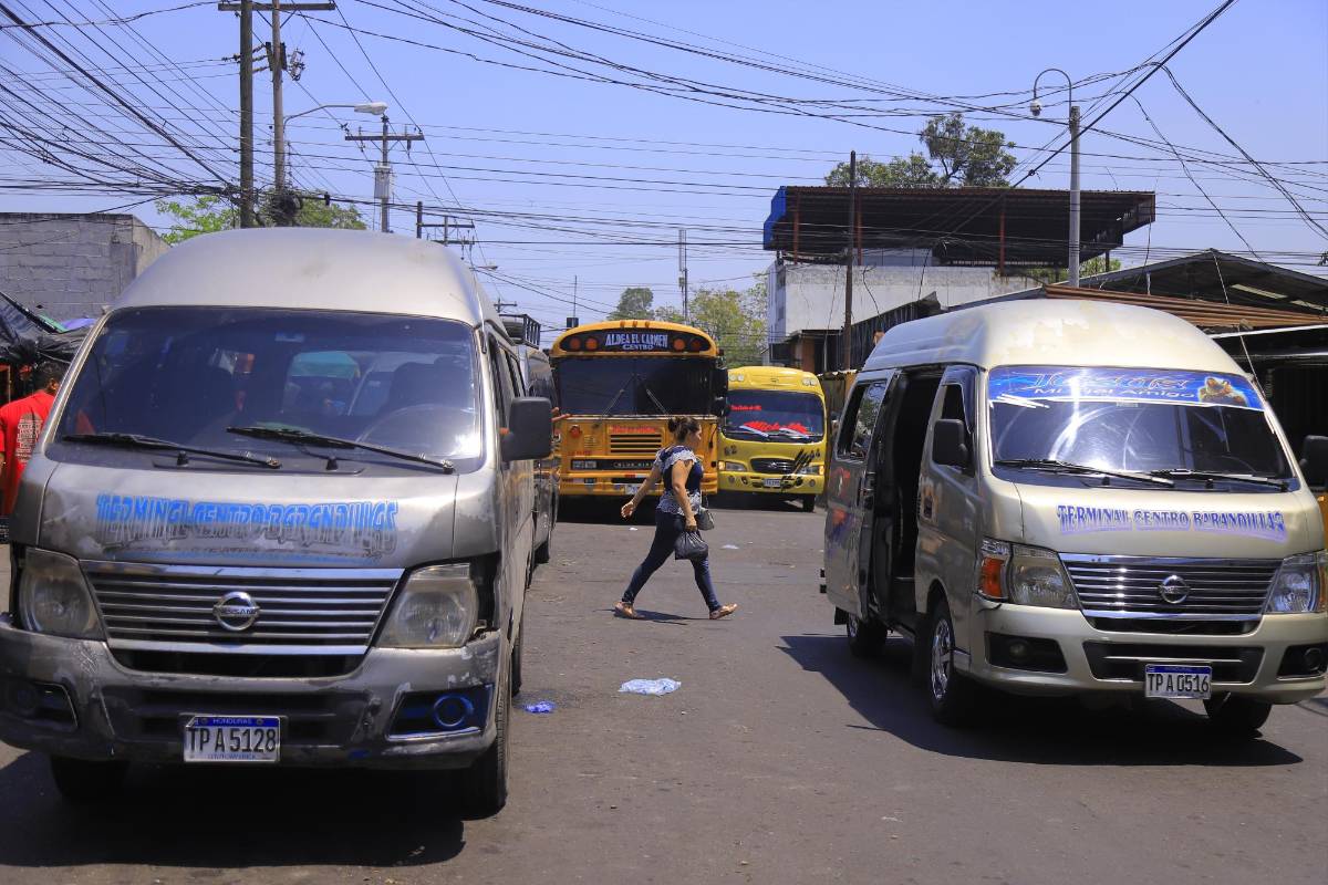 A finales de este año llegará primer lote de nuevos buses