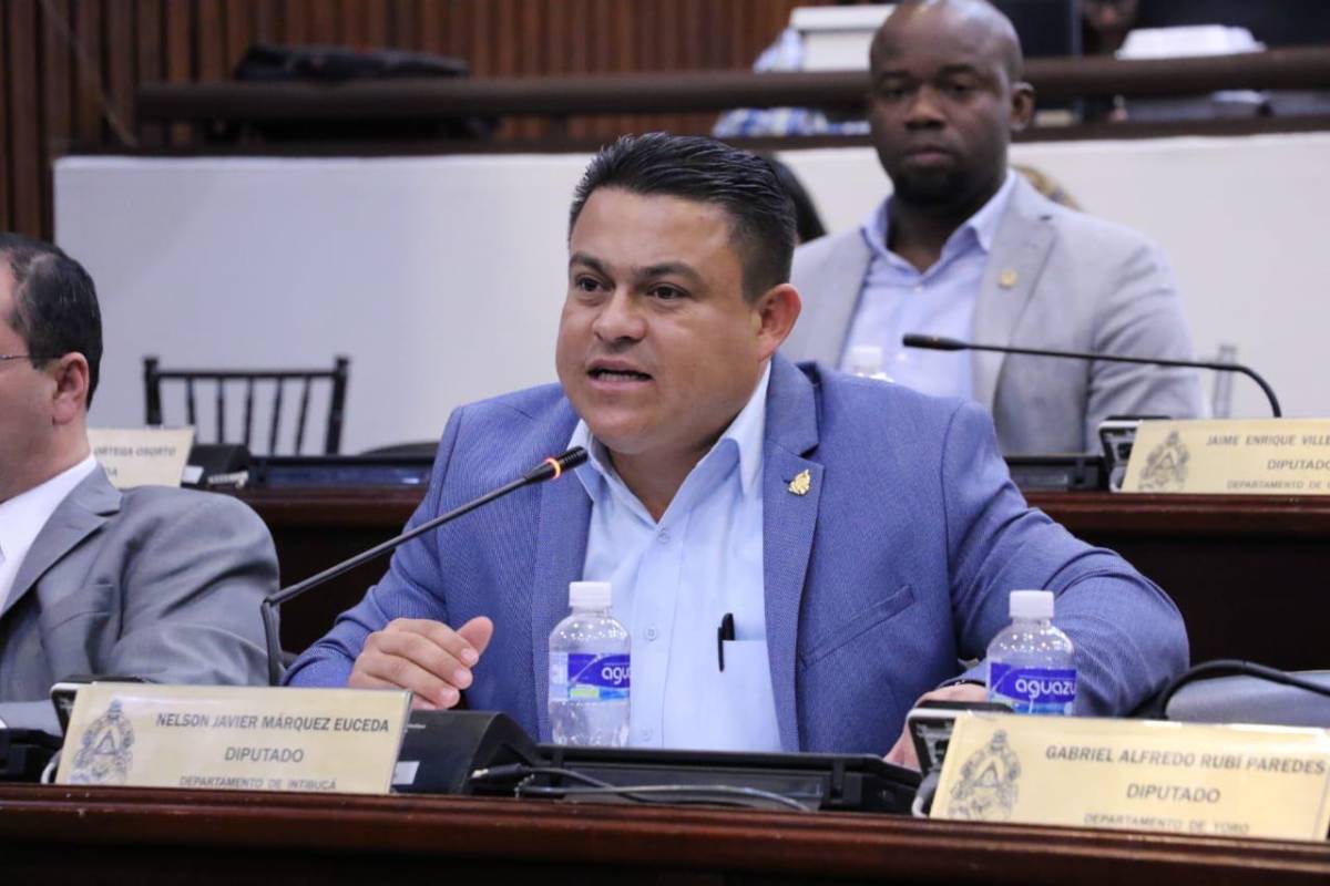 Libre excluye al Partido Nacional de las comisiones en el CN, lamenta Nelson Márquez