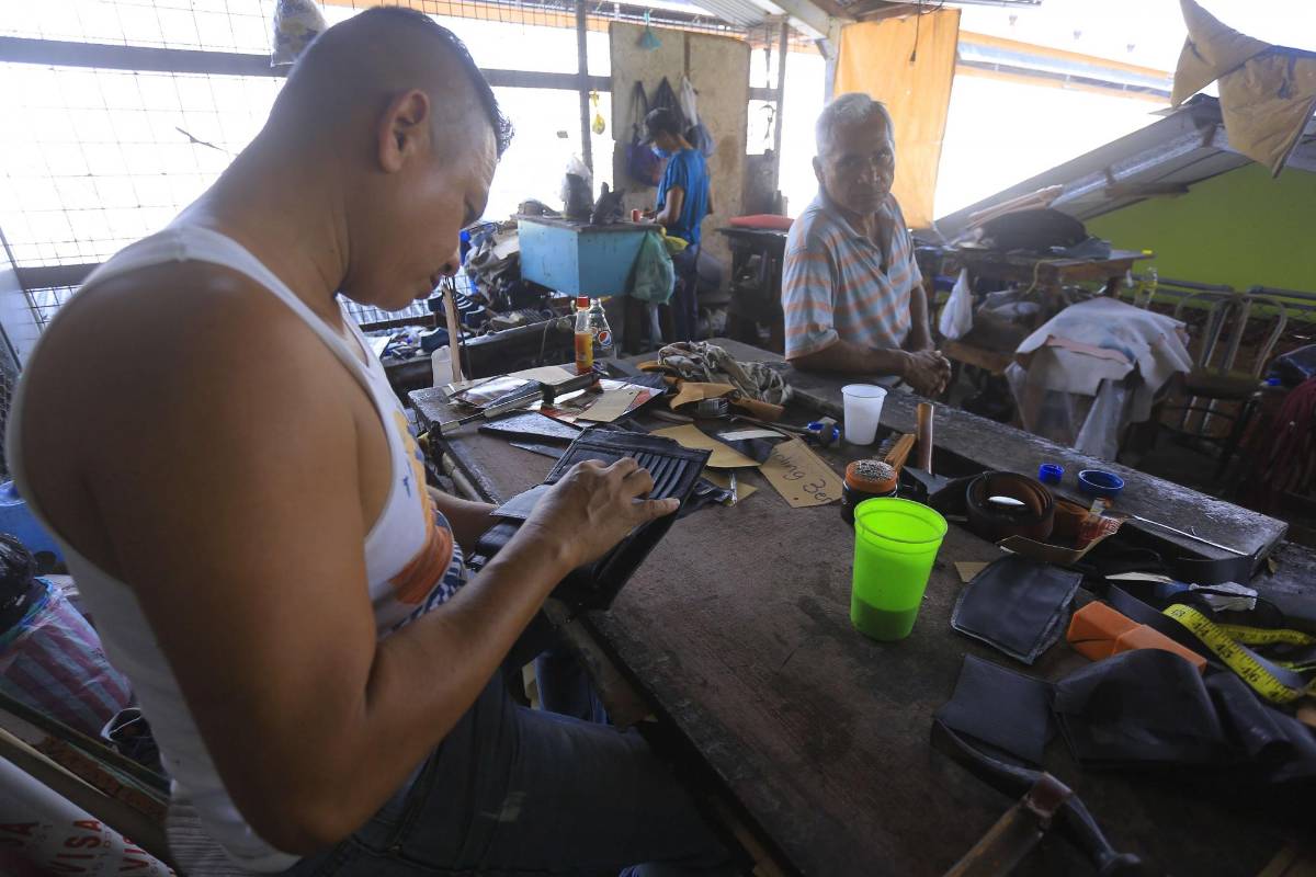 Jóvenes entre 15 y 29 años son los que más sufren desempleo