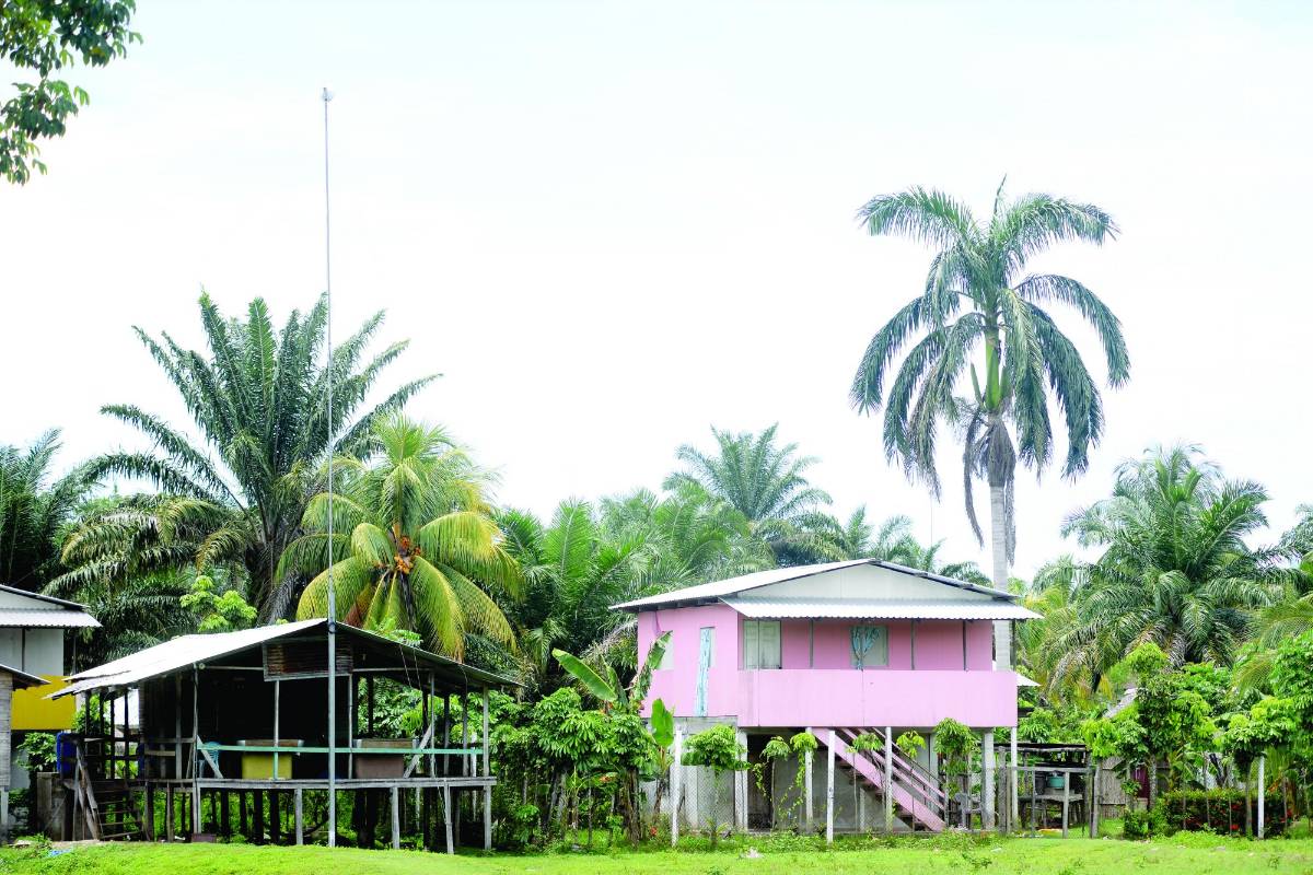 Pugna entre narcos desterró a pobladores del Crique Las Marías
