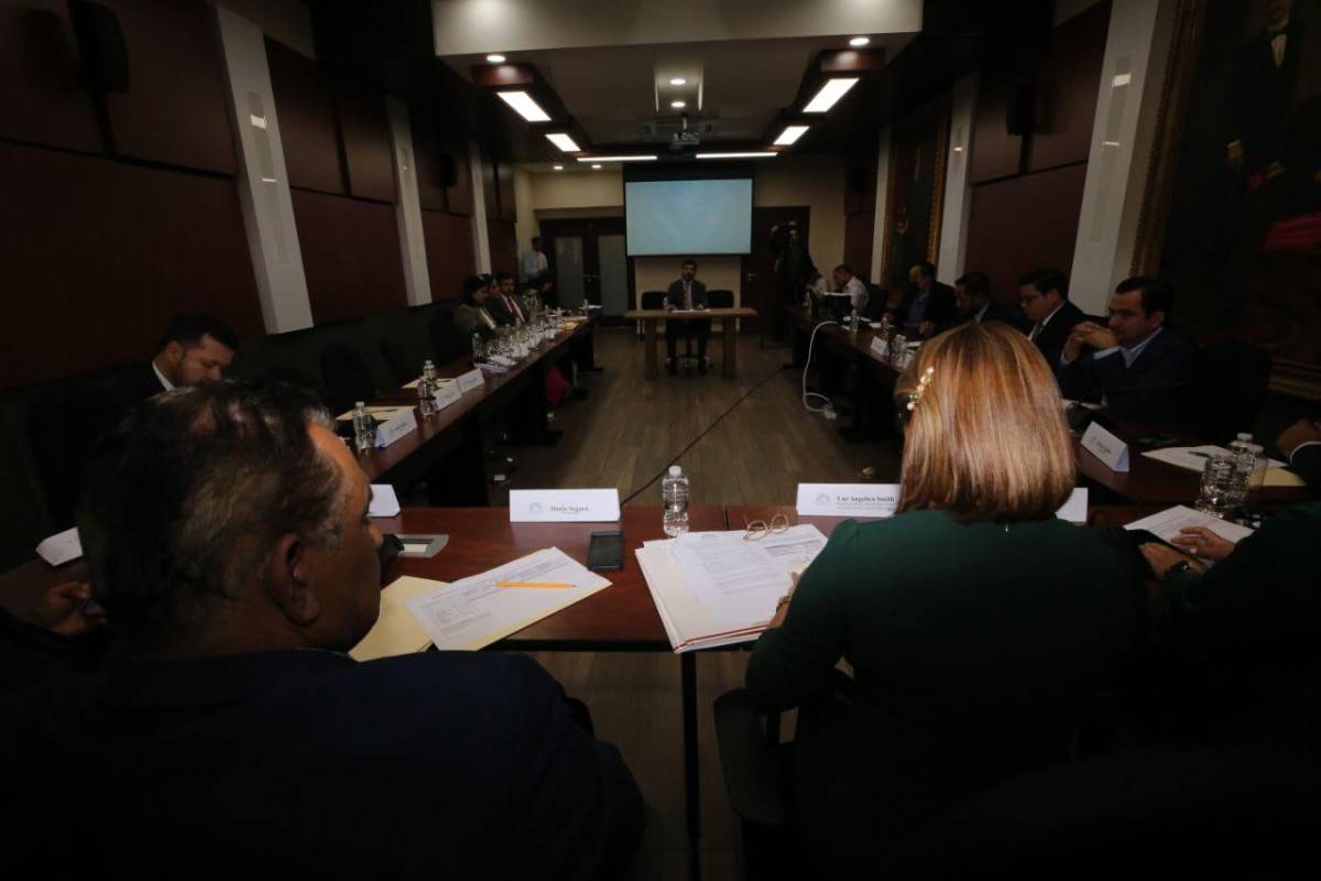 Angélica Smith, secretaria del Congreso Nacional, dirigió las audiencias.