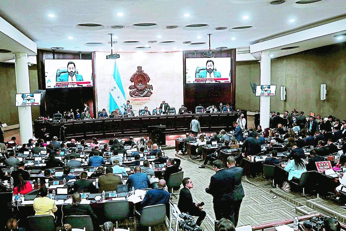 Oficialismo rechaza mediación de ONU y OEA en crisis del CN