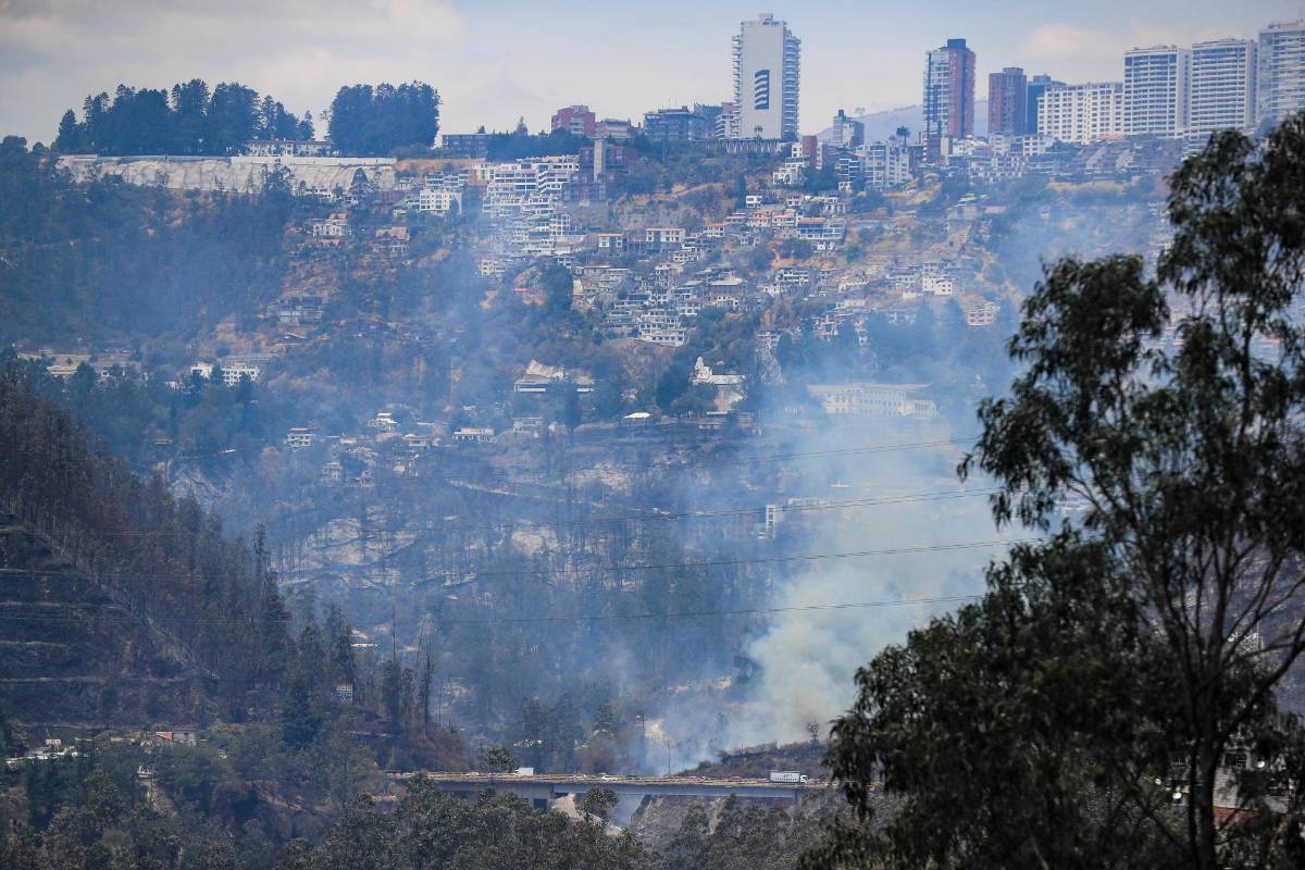 Aumentan a siete los heridos por incendio en Quito; ofrecen recompensa por culpables