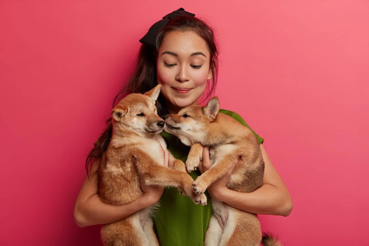 Los perros están entrando en una nueva fase de evolución, según la ciencia, ¿cuál es?