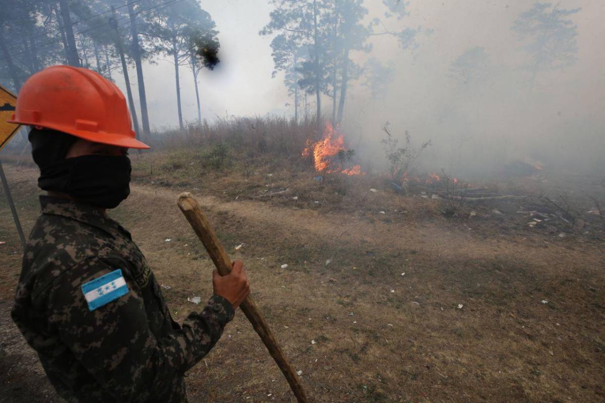 Honduras celebra Día de Tierra afectada por incendios