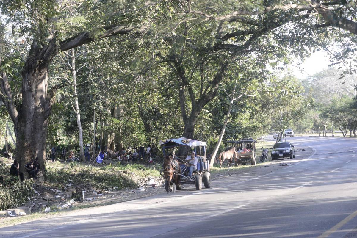 Invasiones ponen en riesgo el acuífero Sunseri y sus pozos