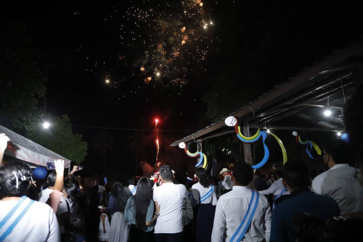 Espectáculo de fuegos artificiales.