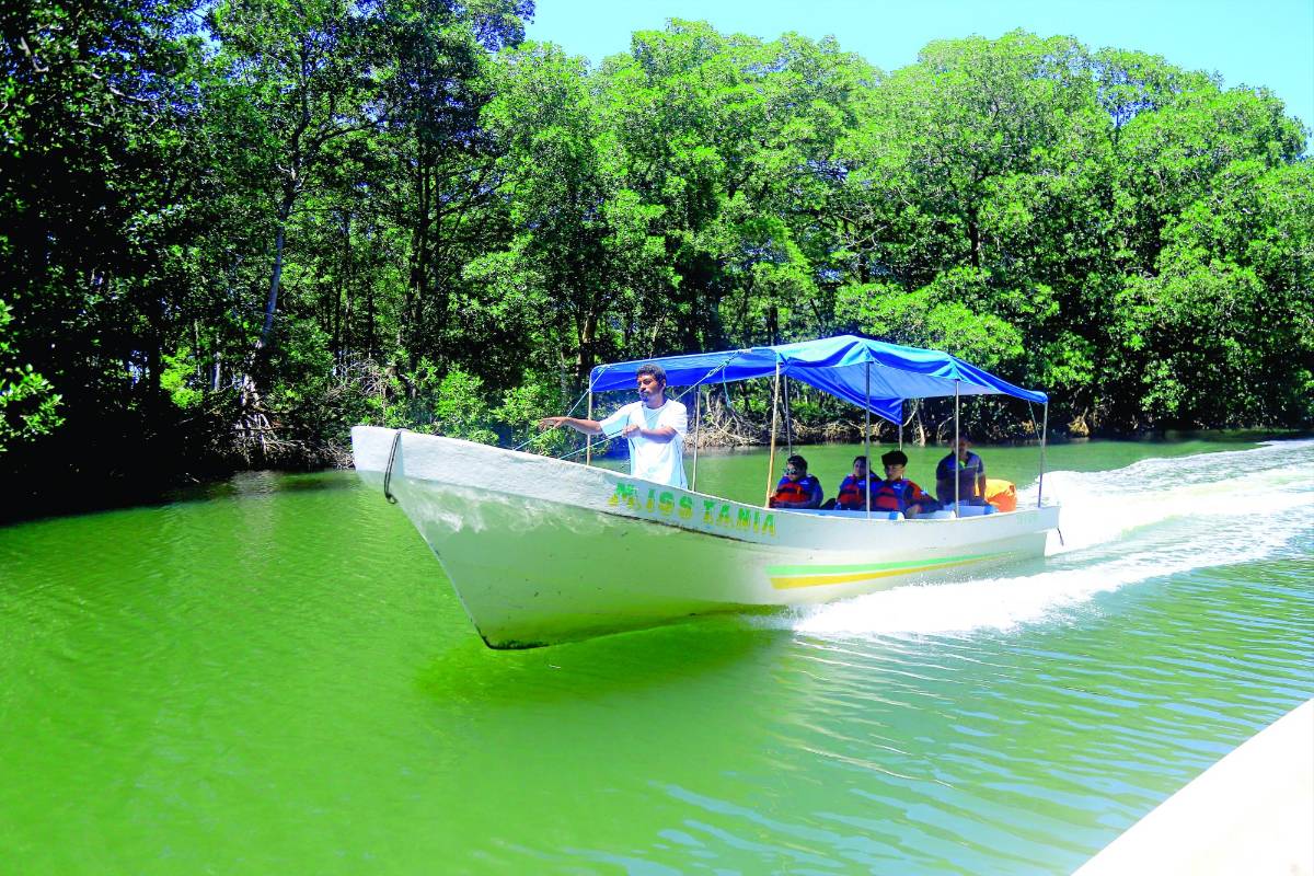 En la parte más amplia de la laguna es común ver a pescadores extraer cangrejos y varias especies de peces para el consumo propio y la venta.