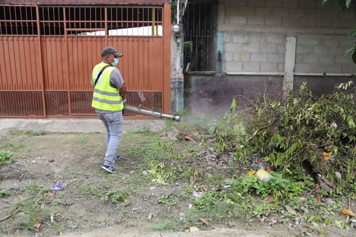 Continúa campaña de fumigación contra el dengue en San Pedro Sula