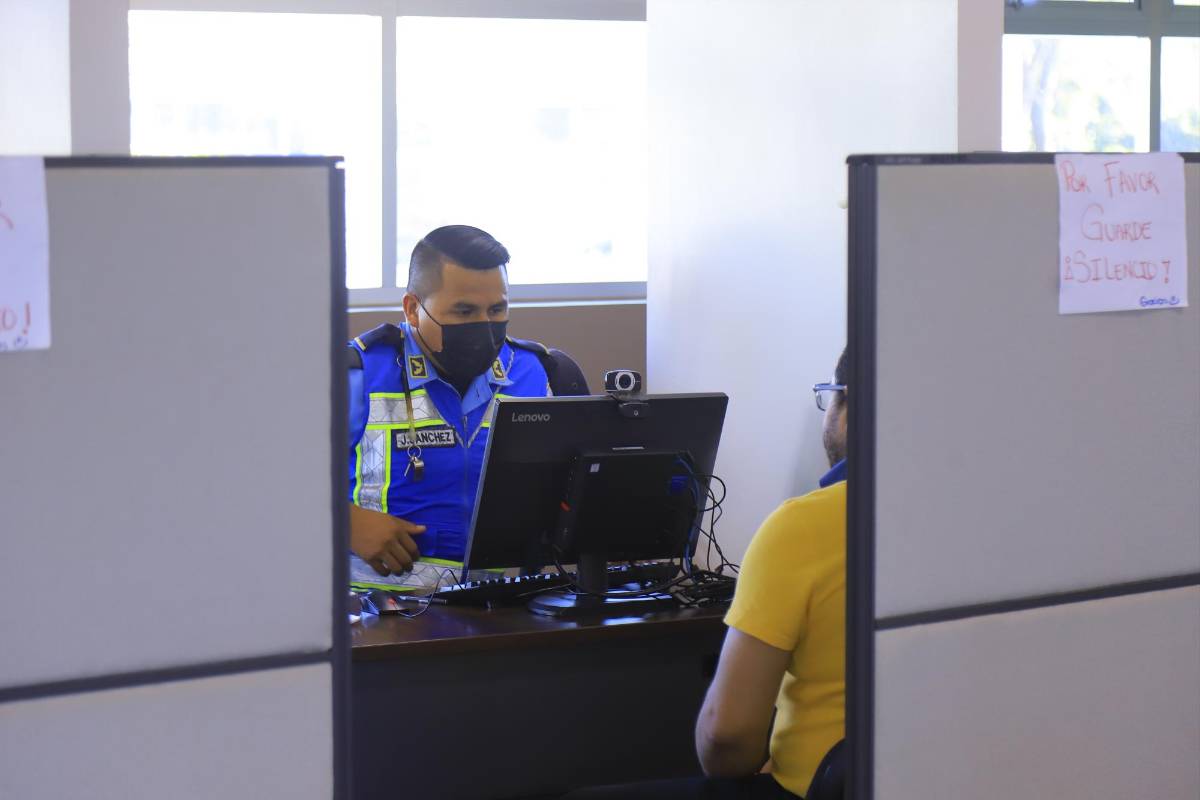 Tránsito emite 150 licencias físicas al día por falta de material