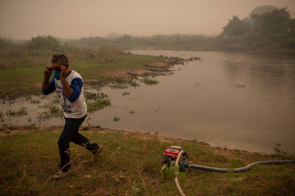 Hombre se lanza a lago huyendo de abejas y muere atacado por pirañas
