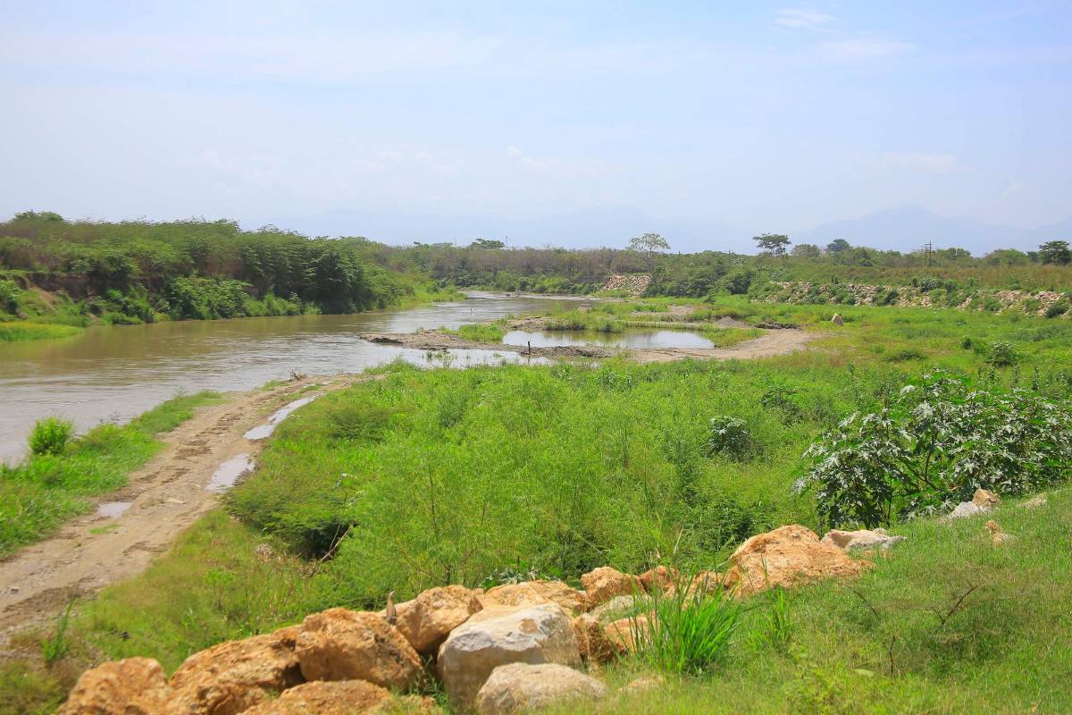 Aguaceros en el valle de Sula: bordos generan temor