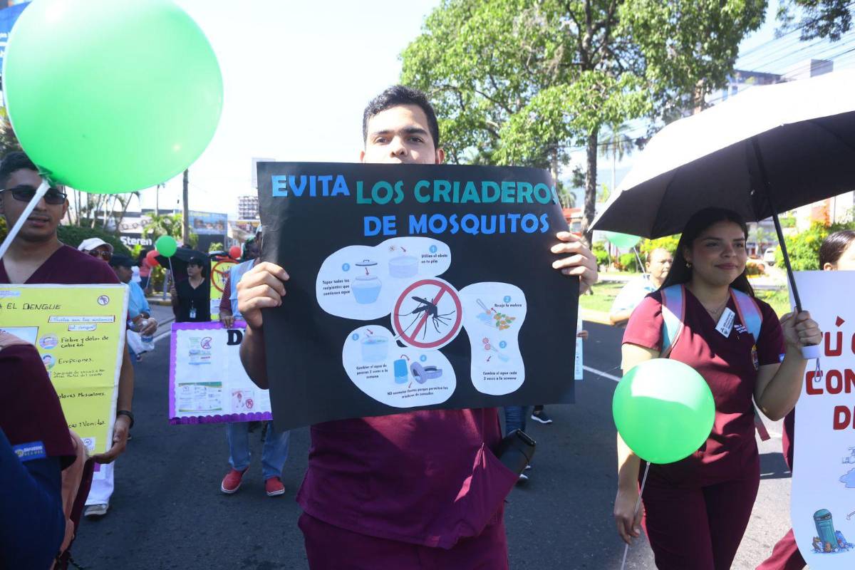 Imágenes de la marcha “Todos contra el dengue” en San Pedro Sula