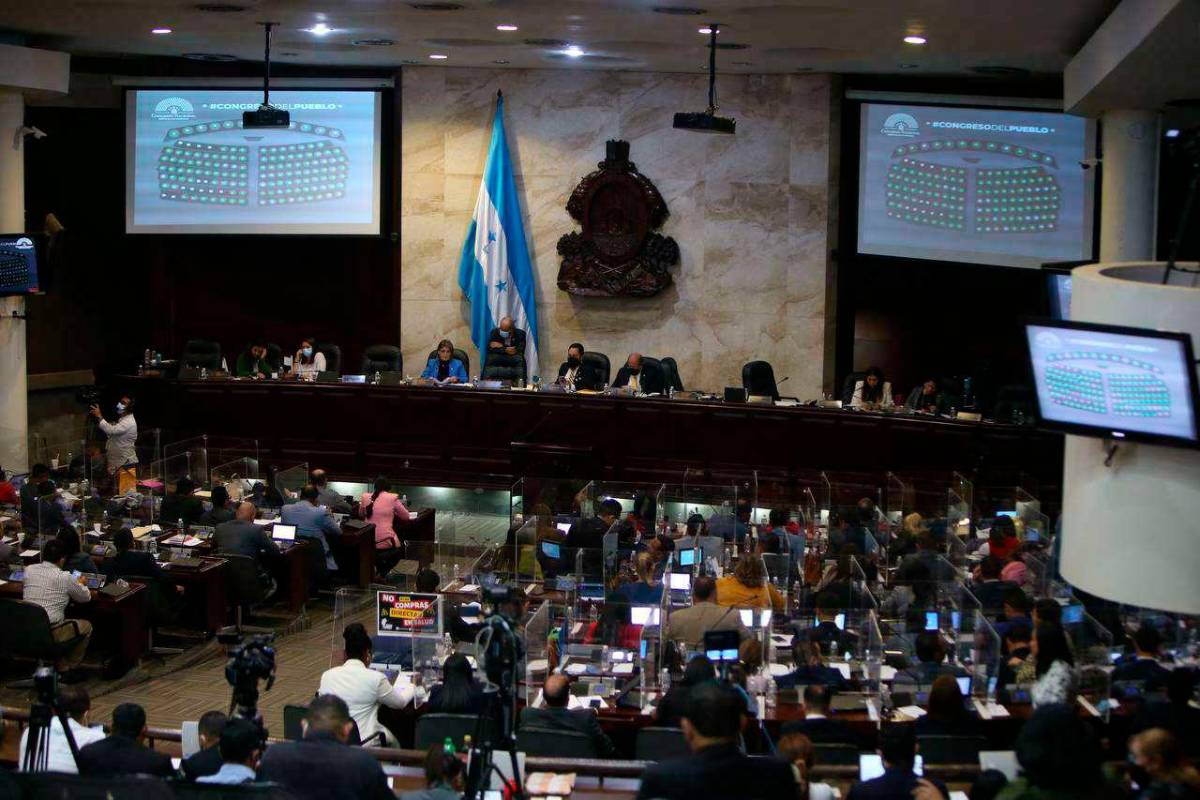 Pasa en primer debate el dictamen de la ley para garantizar la energía