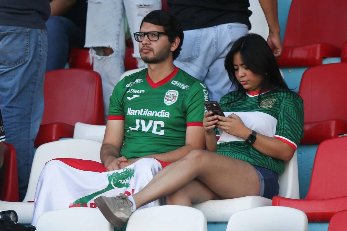 Bellezas, burla a Marathón, lanzan billetes a Henry Figueroa y él reacciona