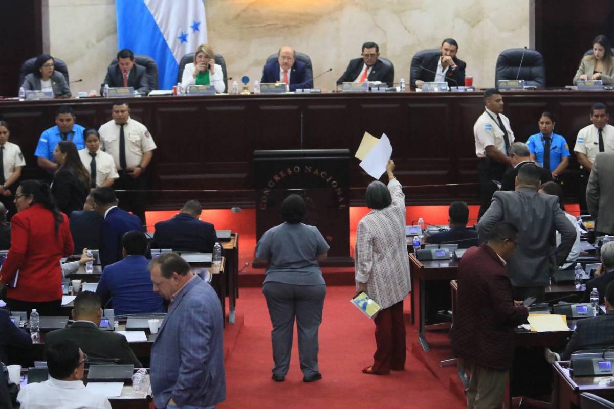 Accidentada sesión en el CN tras dos meses de inactividad; diputada reaccionó furiosa