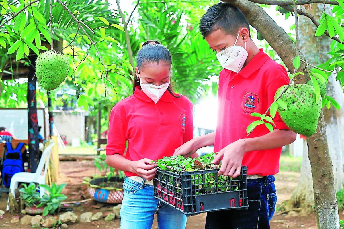 Niños cumplen 100 días de clase bajo los árboles y en galeras