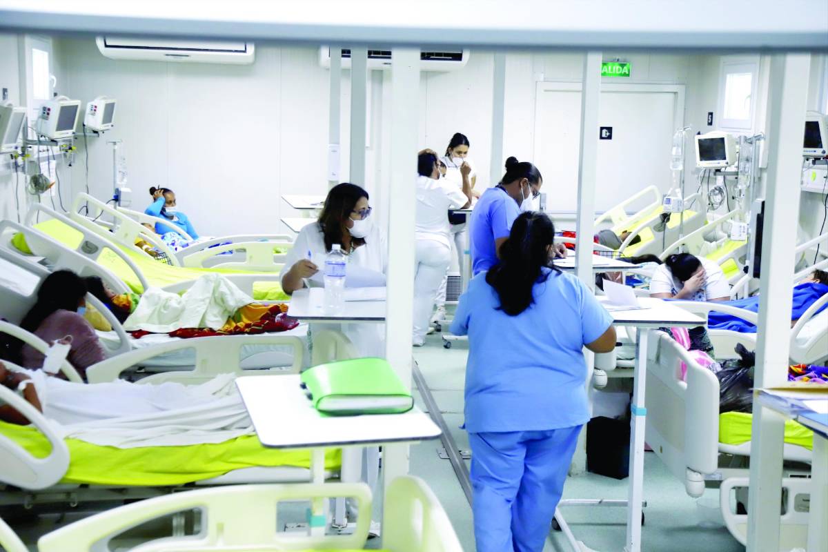 El dengue causa estragos en la zona norte; se reportan dos muertes más