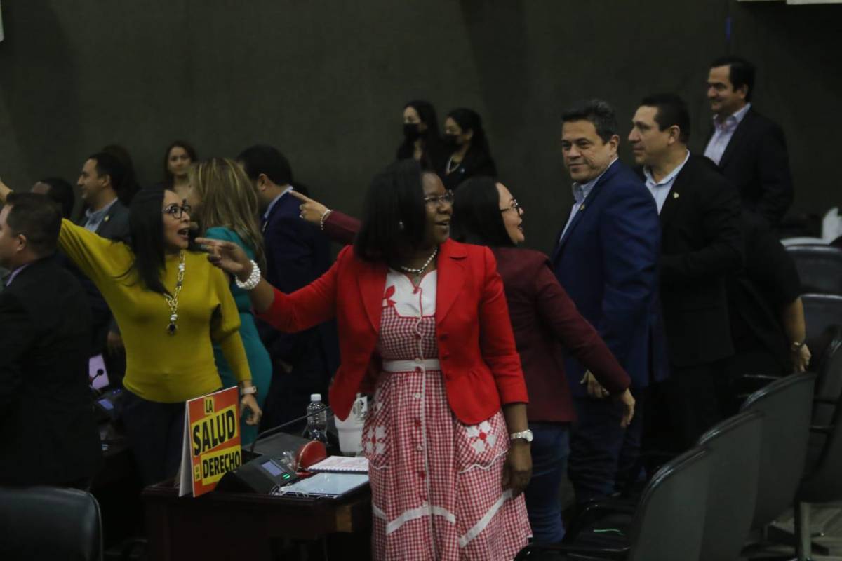 Diputados de Libre y el PN se van a golpes en sesión