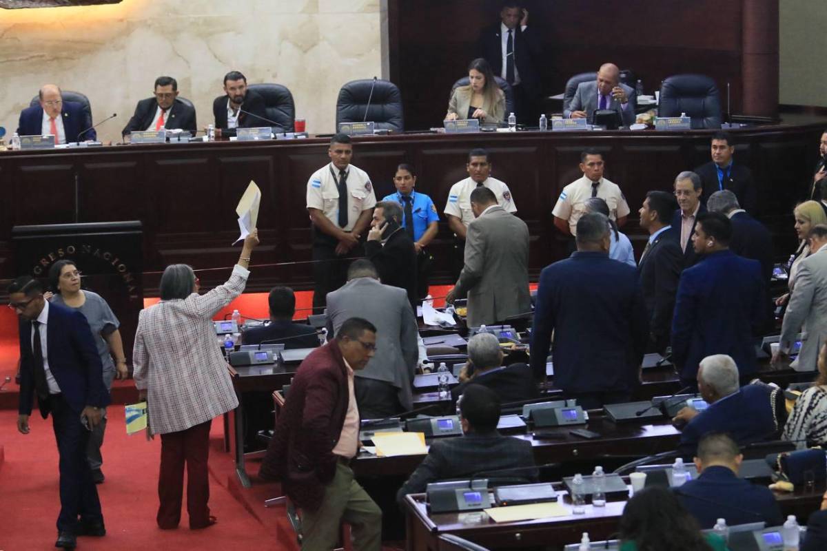 Accidentada sesión en el CN tras dos meses de inactividad; diputada reaccionó furiosa