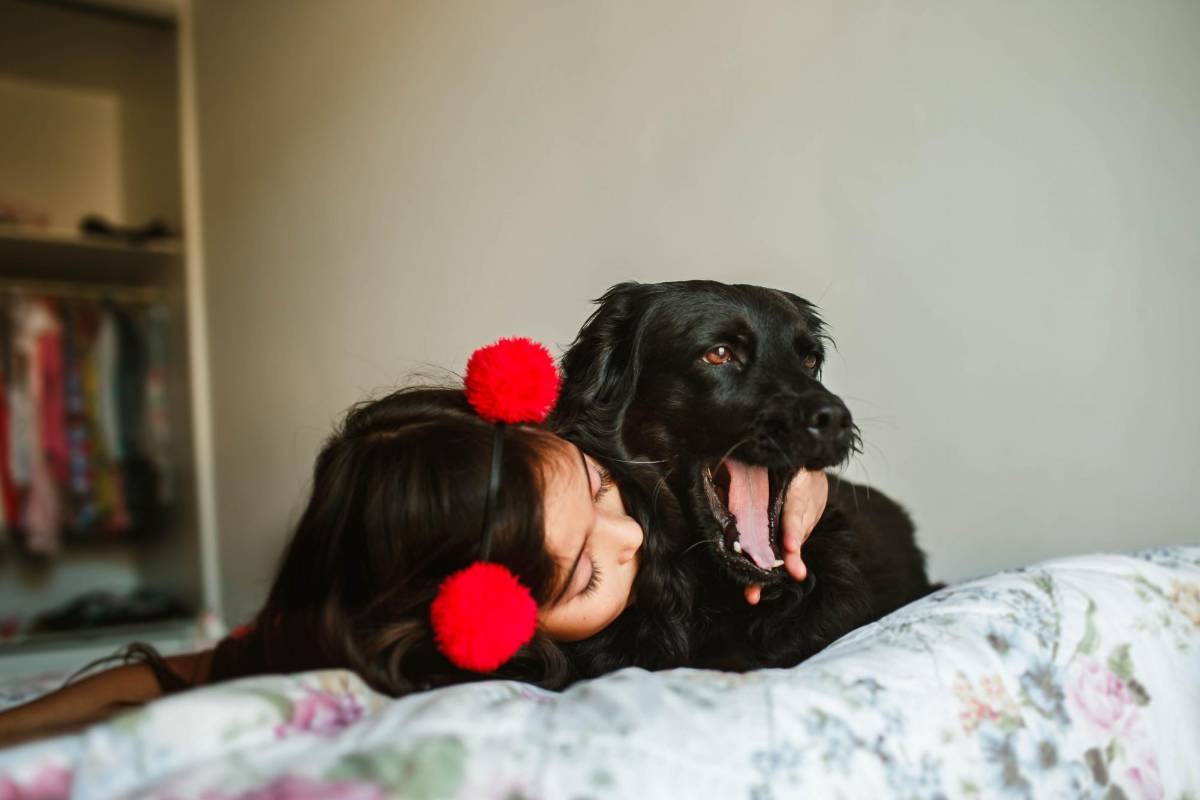 Riesgos y beneficios para los humanos de dormir con las mascotas