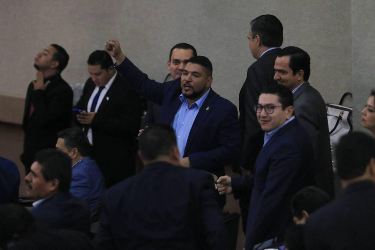 Accidentada sesión en el CN tras dos meses de inactividad; diputada reaccionó furiosa