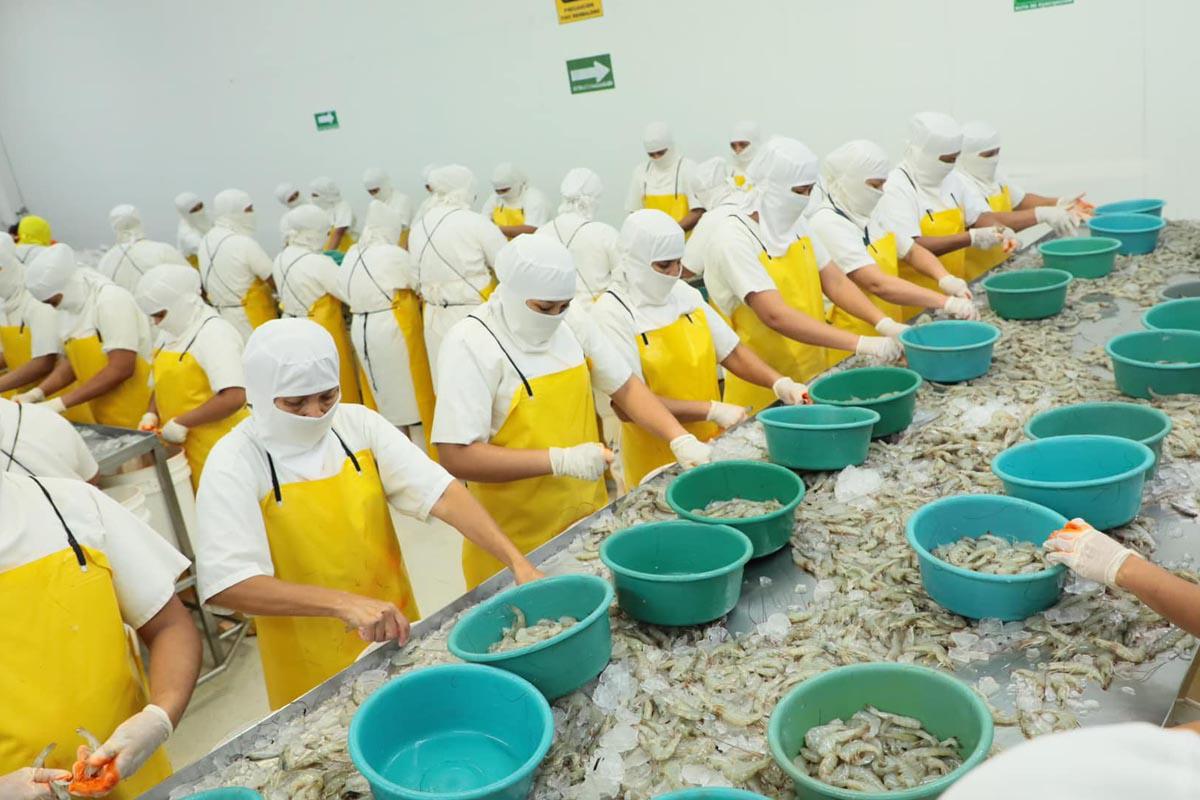 Honduras: acuerdo para acelerar TLC con China entrará en vigencia el 1 de septiembre