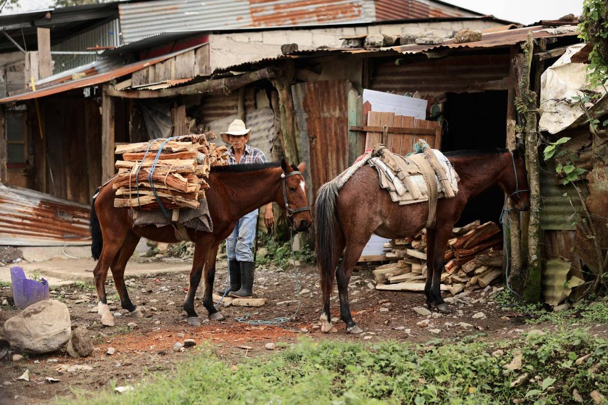 A pedazos se caen las casas y establos de Alexander Ardón