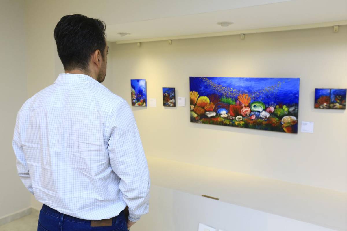 Julio César Contreras presenta “Arrecifes y colores”: arte marino y conciencia ambiental