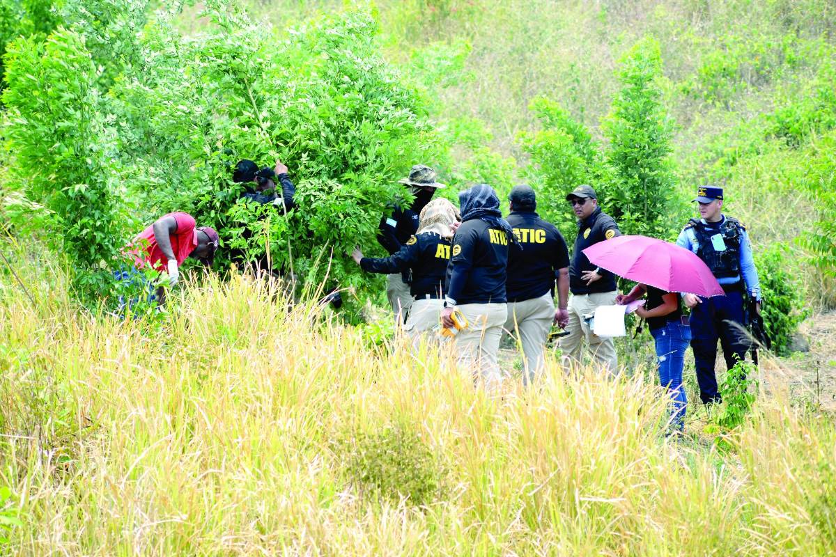 Personal de la Atic se encarga de realizar las exhumaciones de los cuerpos.