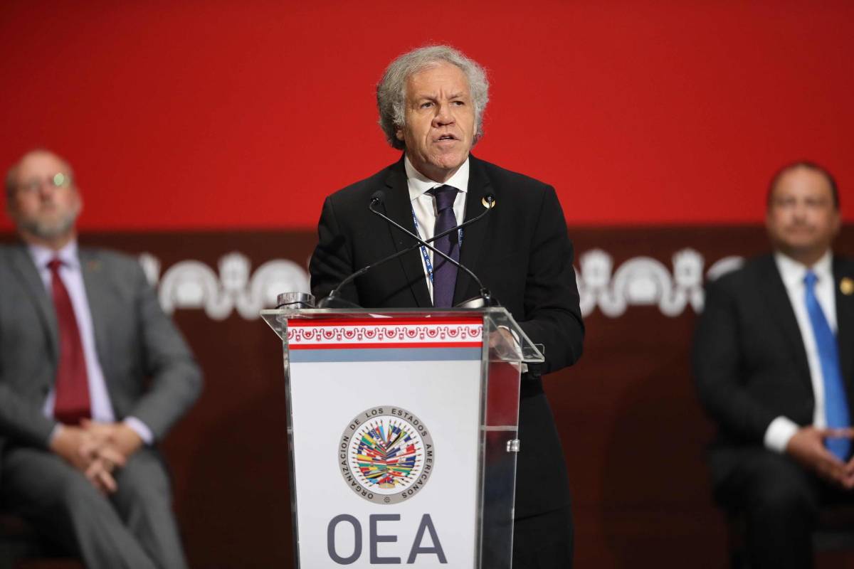 Luis Almagro reconoce a Dina Boluarte como presidenta de Perú