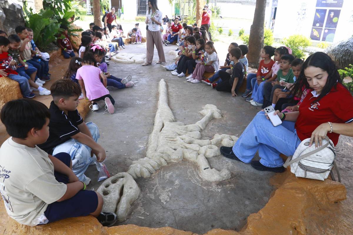 San Pedro Sula ofrece diversión para niños y adultos este Feriado Morazánico 2026