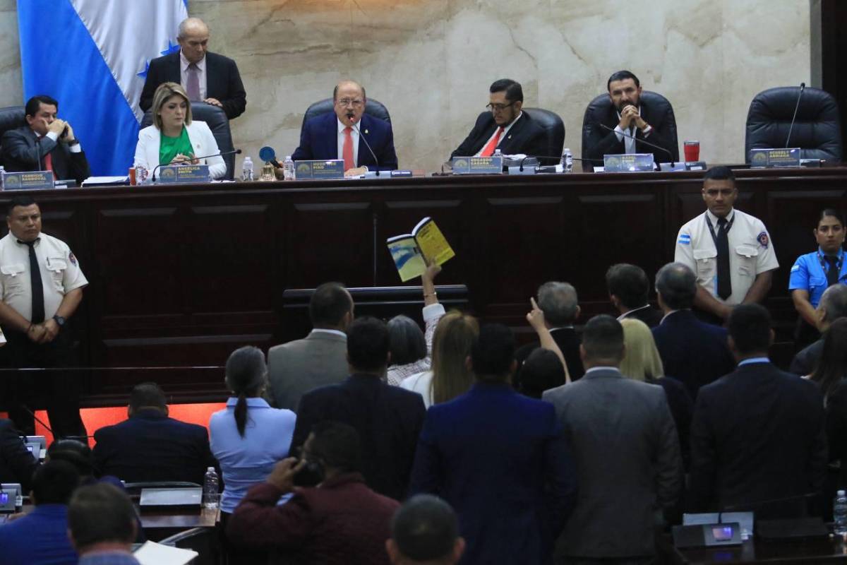 Accidentada sesión en el CN tras dos meses de inactividad; diputada reaccionó furiosa