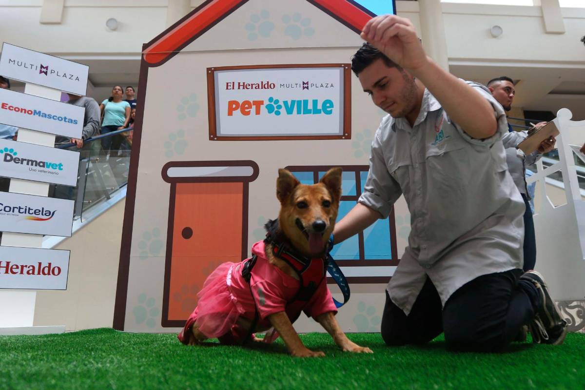 San Pedro Sula: Todo listo para el “Pet Ville 2023”