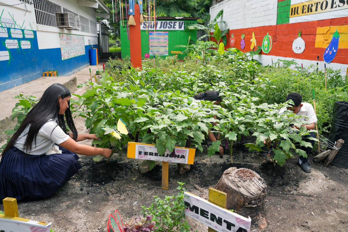 El programa continuará y se busca extender a todos los centros que quieran participar.