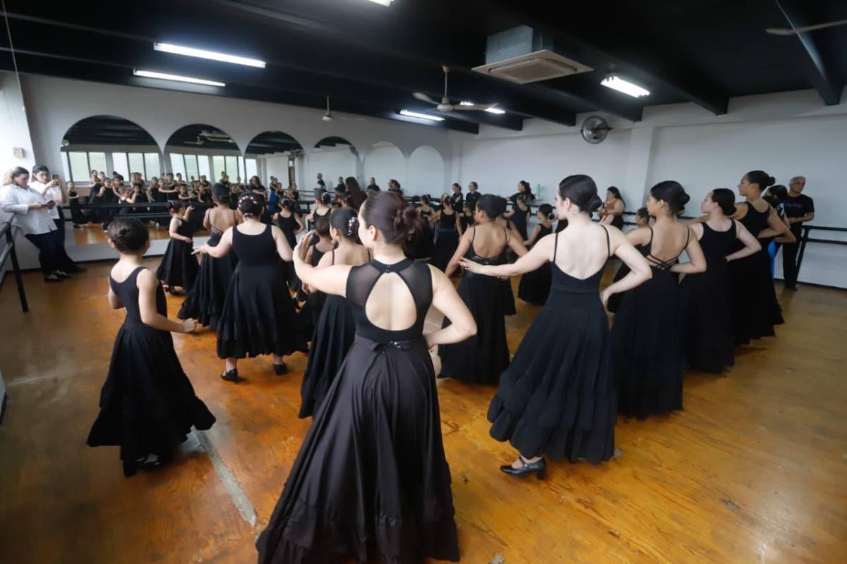 La Academia de Bellas Artes de SPS se mueve al son del flamenco