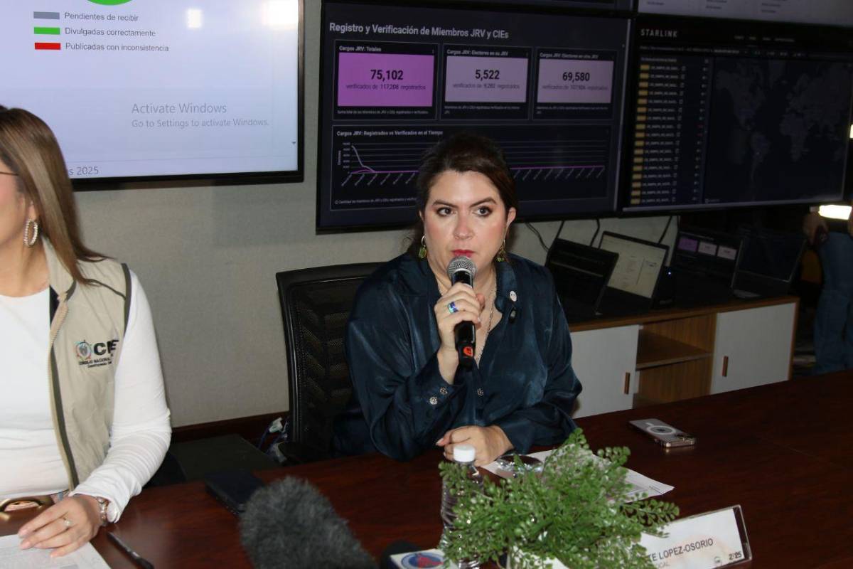 Las ocho frases más relevantes del CNE tras paralización de resultados