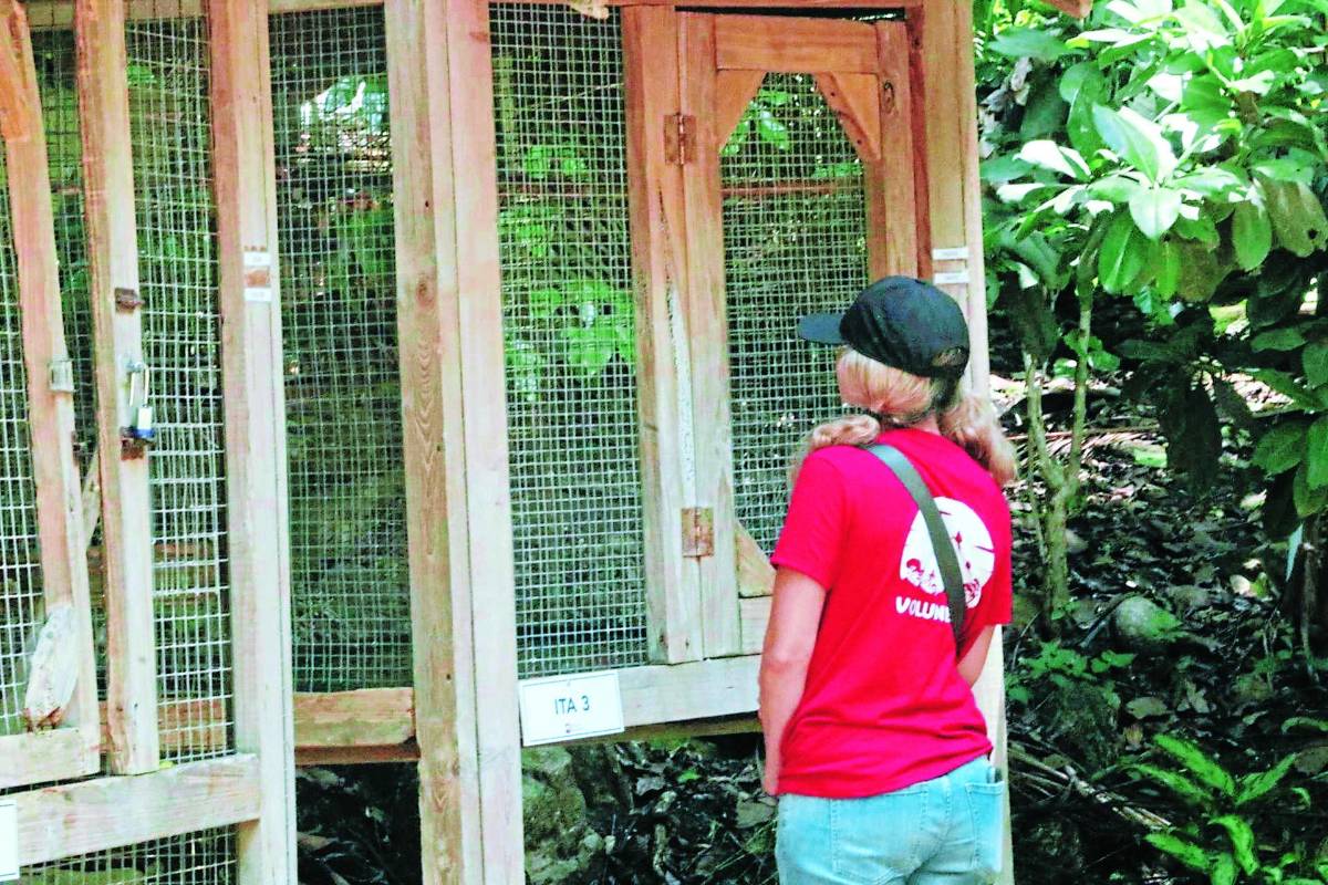 La turística ciudad de Copán Ruinas además se prepara para recibir a unos 2,000 turistas durante el festival.