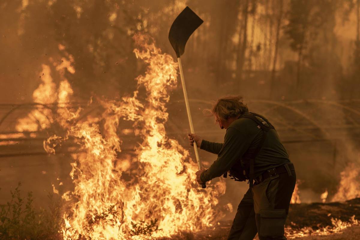 Es un infierno: Devastación en España por la peor ola de incendios del siglo