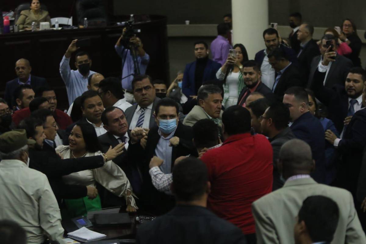 Diputados de Libre y el PN se van a golpes en sesión