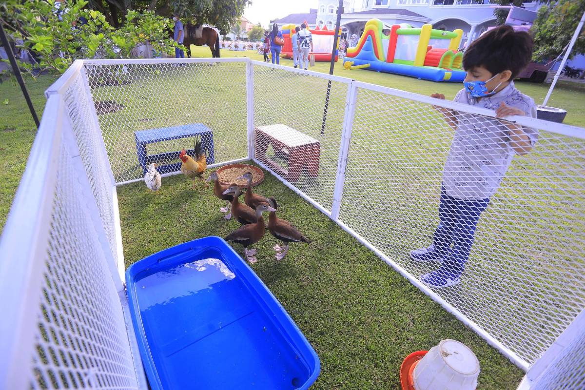 Gozo por el primer añito de Emma Valentina Valladares Mejía