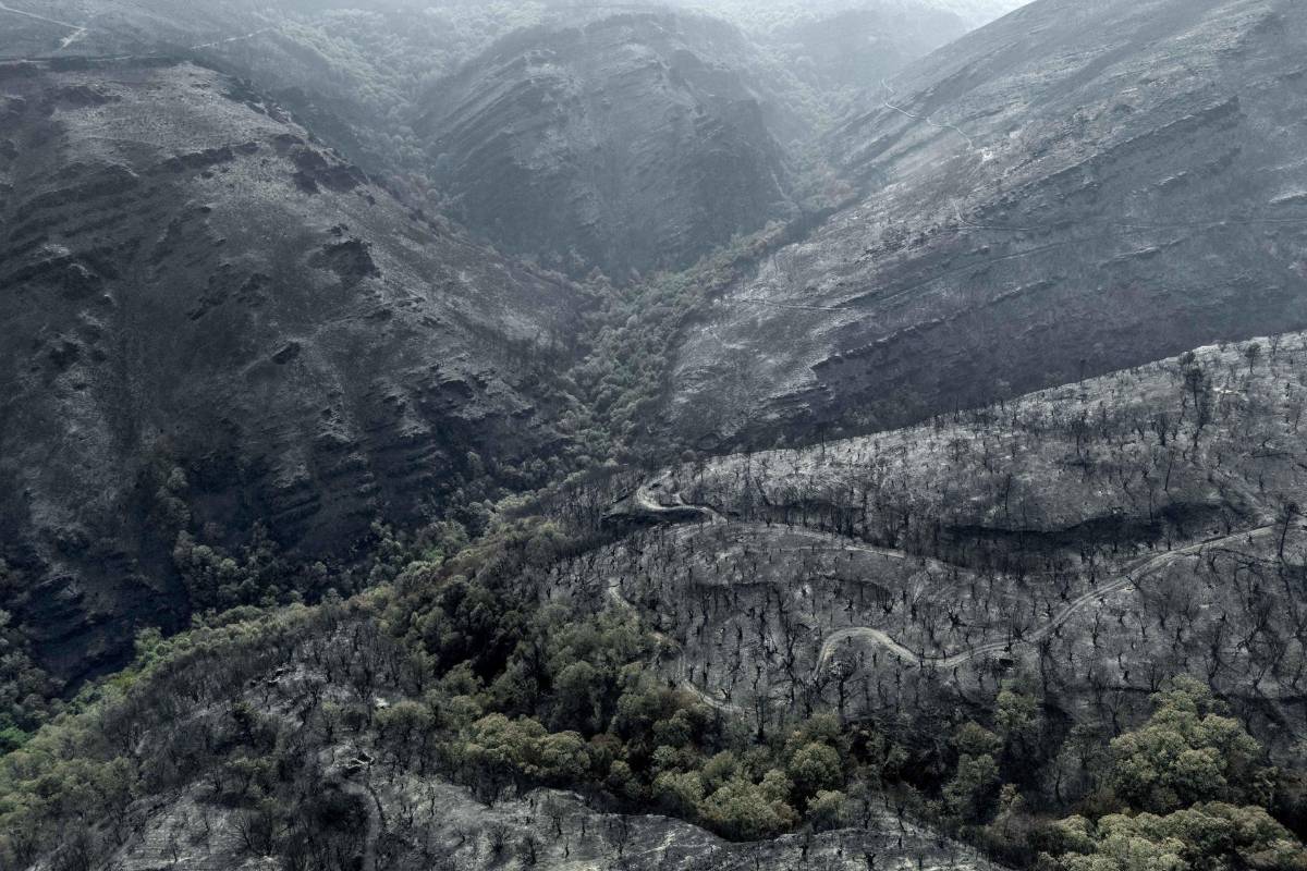 España en llamas: incendios arrasan miles de hectáreas