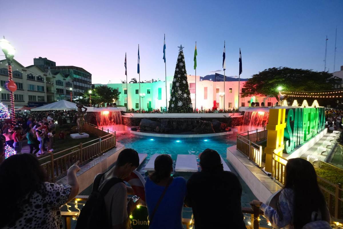 La Navidad llega a SPS con encendido del árbol en el parque